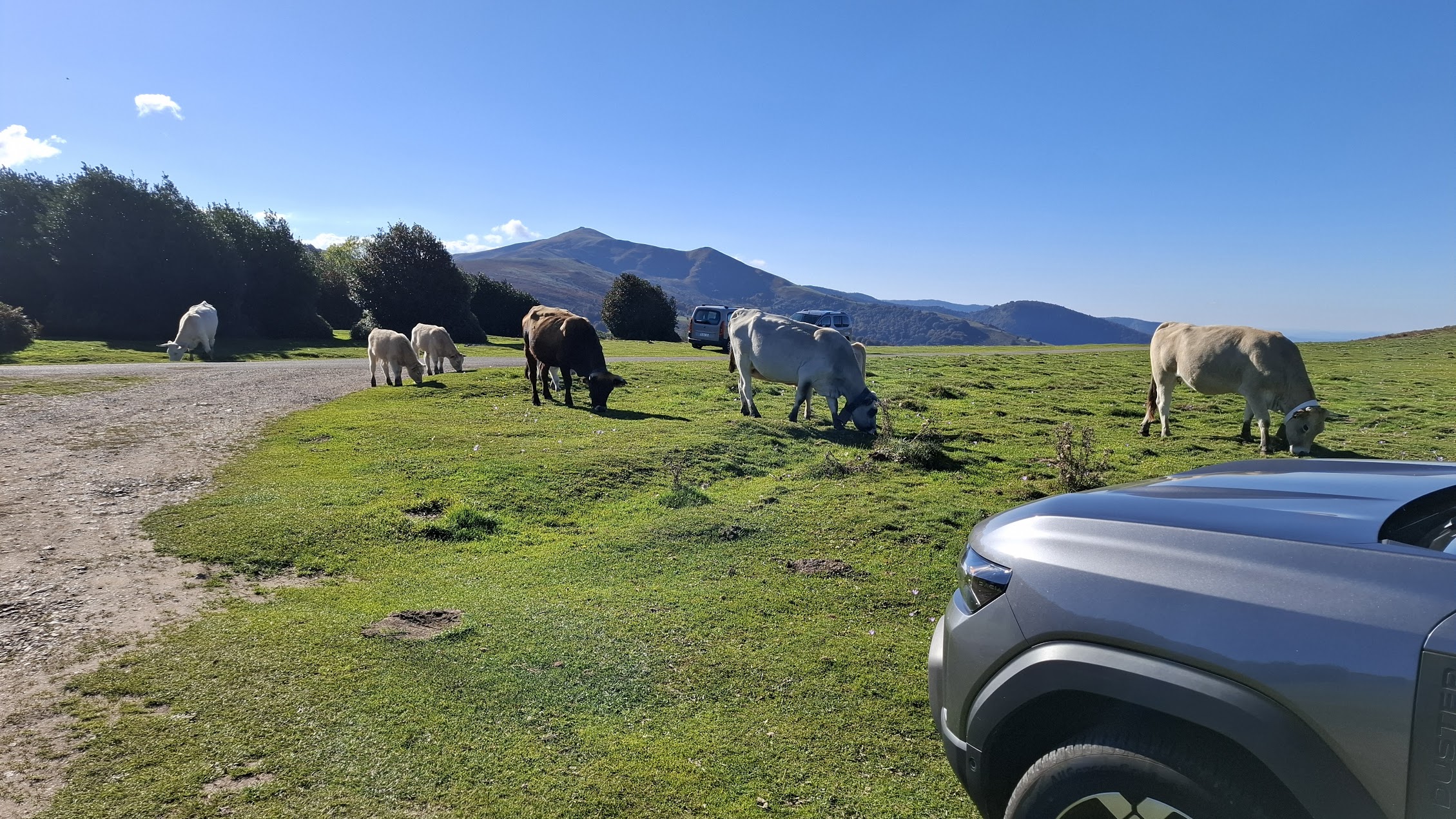 Dormir en voiture en pleine nature